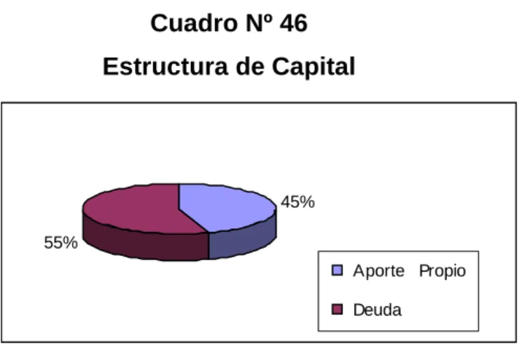 Cuadro Nº 46  Estructura de Capital               45%55%  Aporte   Propio  Deuda  