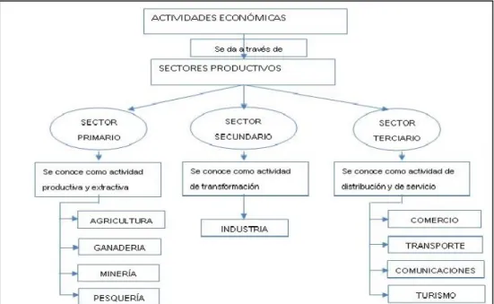 Figura 2. Actividades económicas. 
