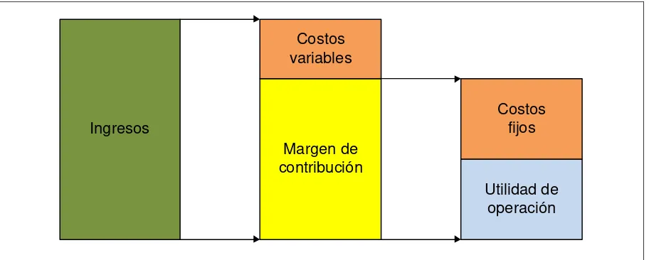 Figura 4:  Fuente:  (Ramírez, 2008) (p. 160) 