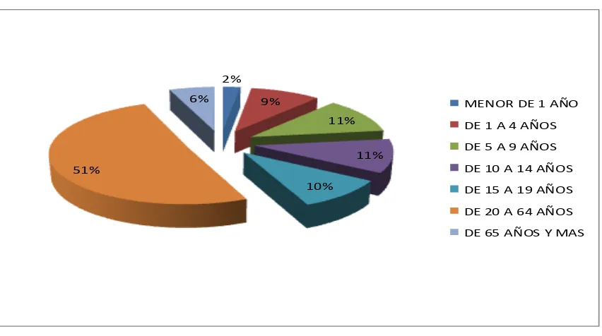 Figura 2. Distribución de la población por ciclos de vida, centro de salud Montalvo, 2014 Fuente: INEC 