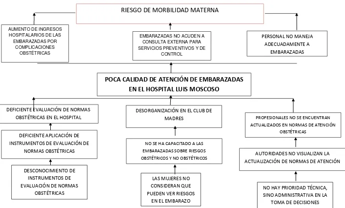 Figura 4. Árbol de Problemas   