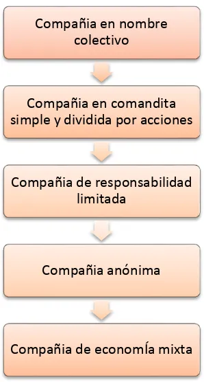 Tabla 6. Descripción  del sector privado 