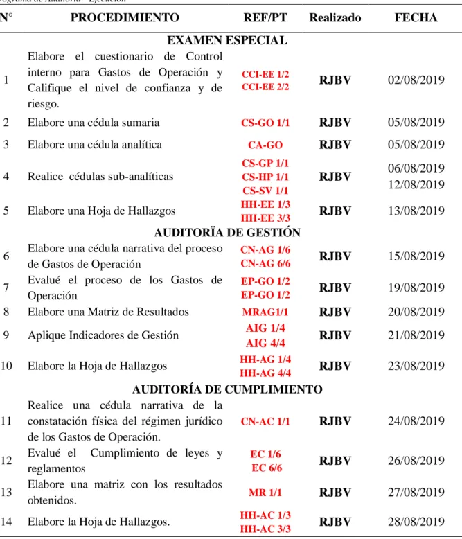 Tabla Nº 6 Programa de Auditoría – Ejecución  Programa de Auditoria - Ejecución 