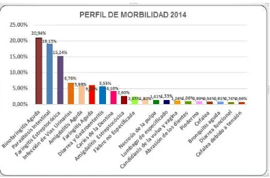 Figura Nº8: Perfil de Morbilidad  centro de Salud Cojimíes 2014. Fuente: Estadística Distrito de Salud 13D10 Jama- Pedernales