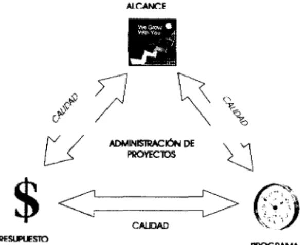 Fig. 2.1 Relación Alcane-Presnpiiesto-Programa