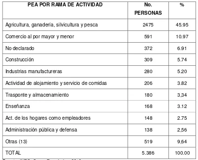 Tabla 6: PEA por rama de actividad del cantón Pedro Vicente Maldonado al 2010 