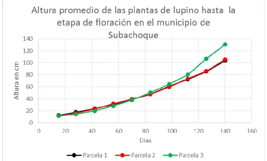 Figura 6: Altura  promedio de las plantas de lupino hasta la etapa de floración.