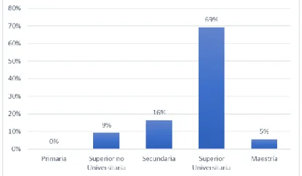 Figura 6. Nivel de educación 