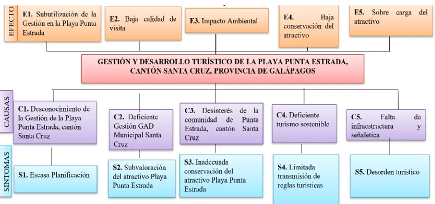 Ilustración 5 Árbol de problemas 