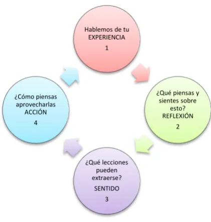 Figura 4. Proceso de la Mentoría 