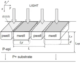 Figure 3.7: Finger nwell/p photodiode structure with low-resistance substrate and twin-wells in standard CMOS technology