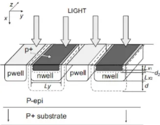 Figure 3.10: Finger p+/nwell/p-substrate photodiode structure with low-resistance substrate and adjoined-wells