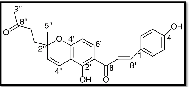 Figura  9: ESTRUCTURA DEL COMPUESTO:  [(E) -4- (5-hidroxi-6- (3- (4-hidroxifenil) acriloil) -2-