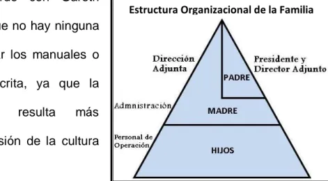 Fig. 1. Modelo piramidal de la “Estructura Organizacional  de la Familia”. 