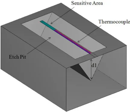 Figure 3.3 Cantilever thermopile designed using COMSOL Multiphysics®. The anterior face is suppressed  for visualization purposes 