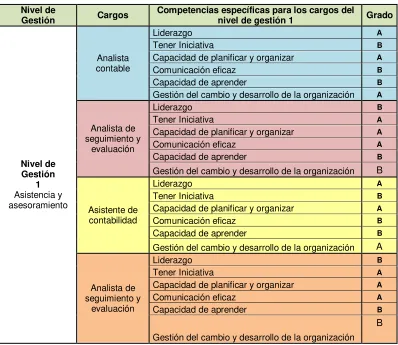 Cuadro nro. 7. Competencias específicas nivel de gestión 1 