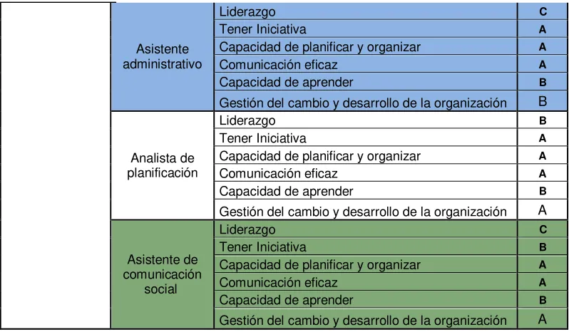 Cuadro Nro. 8  Competencias específicas nivel de gestión 2 