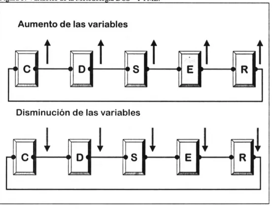 Figura 5. Variables de la Metodología DCS - PYME. 