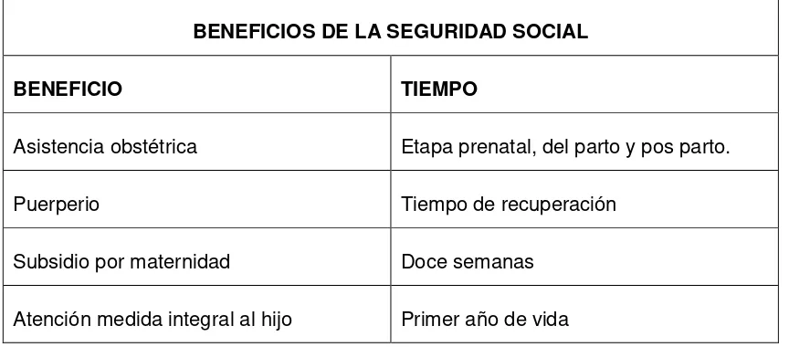 Tabla 4. Beneficios de la seguridad social  Fuente: Ley de Seguridad Social, art. 13.    Elaboración: Jaramillo (2016) 