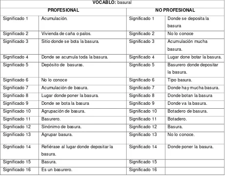 Tabla 8. Significados de vocablo basural según informantes. 