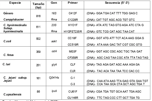Tabla 1. Secuencias de primers utilizados para la PCR-MMULTIPLEX para  identificación de especies de Campylobacter spp