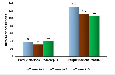 Figura 5. Abundancia relativa en los transectos de los dos sitios de estudio. 