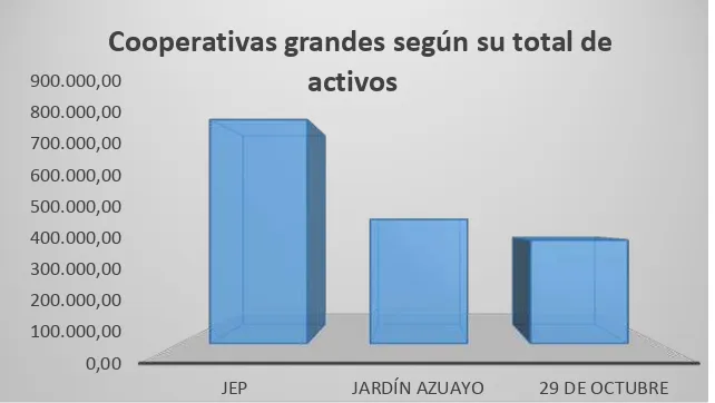 Figura 2: Cooperativas grandes del Sector de Economía Popular y Solidario según su total 