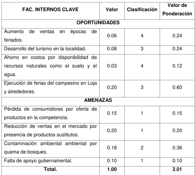 Tabla 10. Matriz EFE 