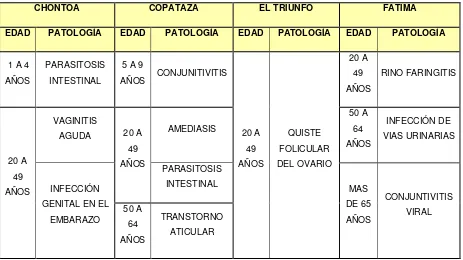 Tabla No. 4: Perfil epidemiológico de las Parroquias de Chontoa, Copataza, El Triunfo, Fátima del Año 2014 