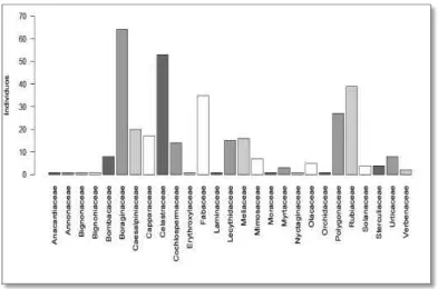 Figura 8.  Abundancia por familias en BPCB. Familias con mayor abundancia:   Boraginaceae, Celastraceae, Rubiaceae