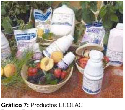 Tabla 5: Productos ECOLAC Cía. Ltda. 
