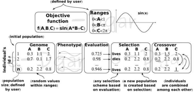 Figure 2.2: The process of creating populations in GA. 
