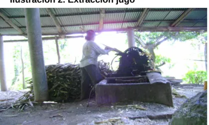 Ilustración 2. Extracción jugo 