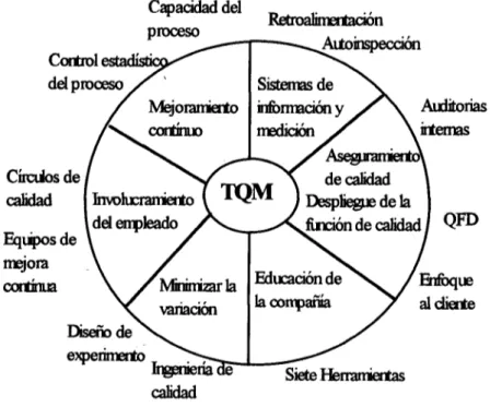 Figura 2.6 Conceptos y herramientas del TQM (Trappen y Anderson  [1991]). 