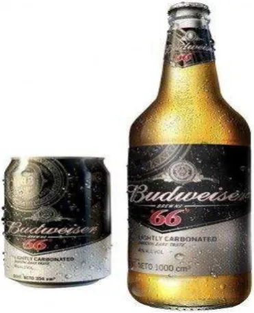 Figura 11 SAB MILLER 