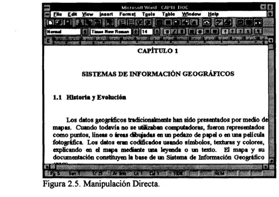 Figura 2.5. Manipulación Directa. 