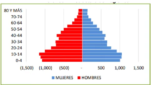 Tabla 2. Estructura demográfica  