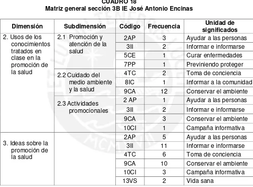 CUADRO 18 Matriz general sección 3B IE José Antonio Encinas 