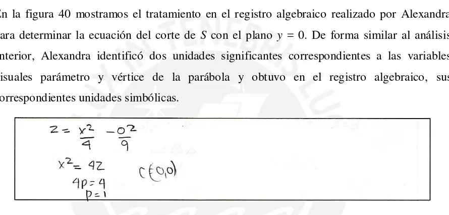 Figura 40. Corte de S con el plano y = 0, realizado por Alexandra. 