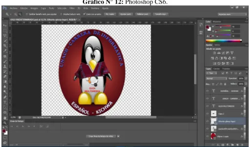 Gráfico N° 12: Photoshop CS6. 