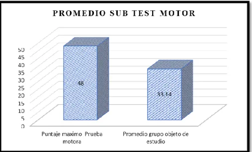 Tabla 5 Promedio Sub Test Motor  Fuente: Investigadores 