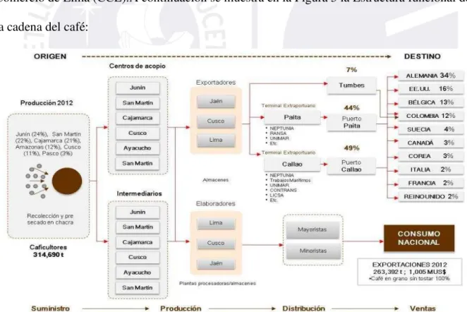 Figura 5.  Estructuración funcional y territorial de la cadena del café, 2012.  