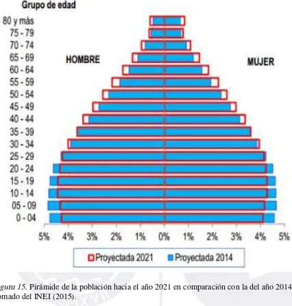 Figura 15. Pirámide de la población hacia el año 2021 en comparación con la del año 2014 