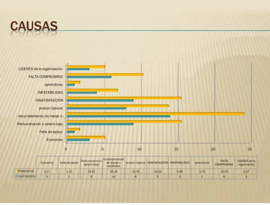 Gráfico 13 causas 