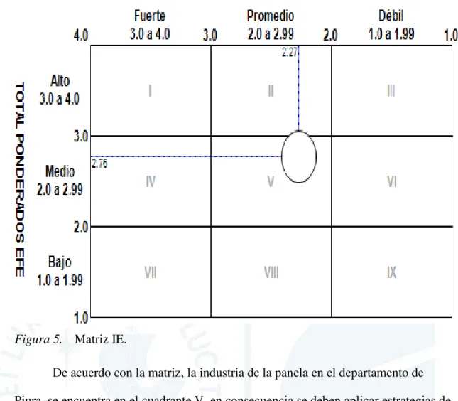 Figura 5.   Matriz IE. 