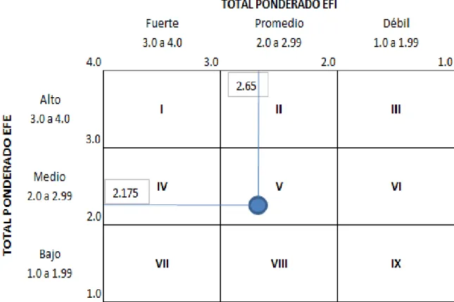 Figura 7. Matriz Interna-Externa (IE)  