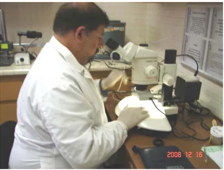 Figura  11. Profesor realizando un diagnóstico en el laboratorio de Parasitología. 