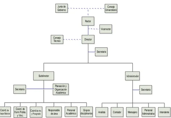 Figura 2. Organigrama del IICV. 