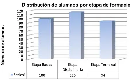 Figura 3. Distribución de alumnos por etapa de formación. 