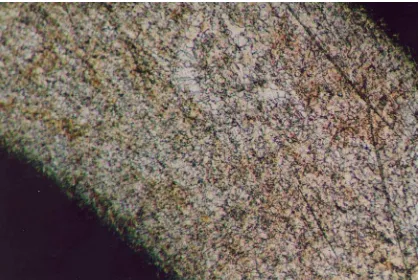Fig. 26. Microscopia óptica de la  pinza redonda: Solución sólida de Ag. Evidencia de maclas de recocido y granos poligonales